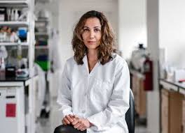 تصویر پردیس ثابتی